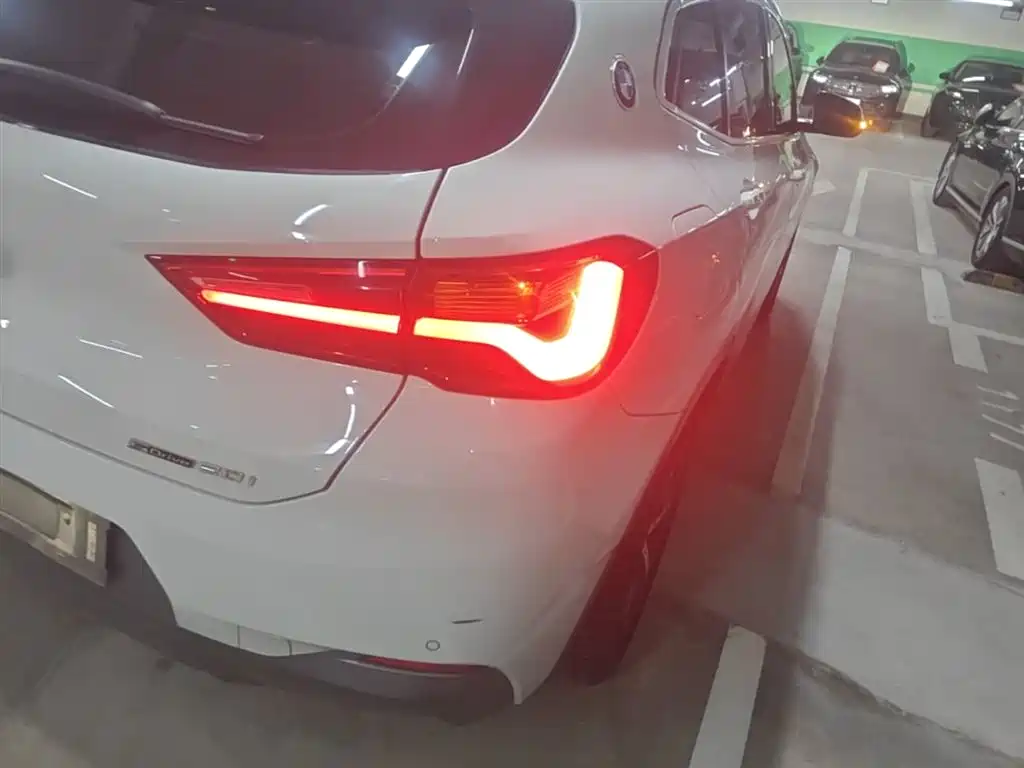 BMW X2 (Import) 2019 sDrive20i M Off-Road Package China VI фото 8