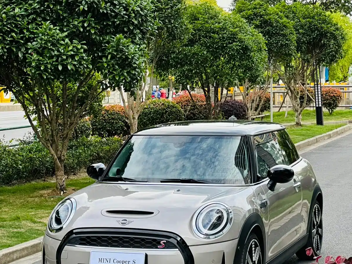 MINI MINI 2022 2.0T COOPER S Artist