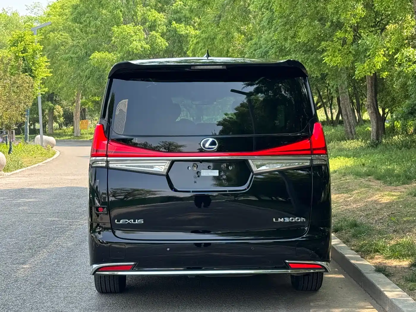 Lexus LM 2020 300h Seven-Seater Elegance Edition фото 15