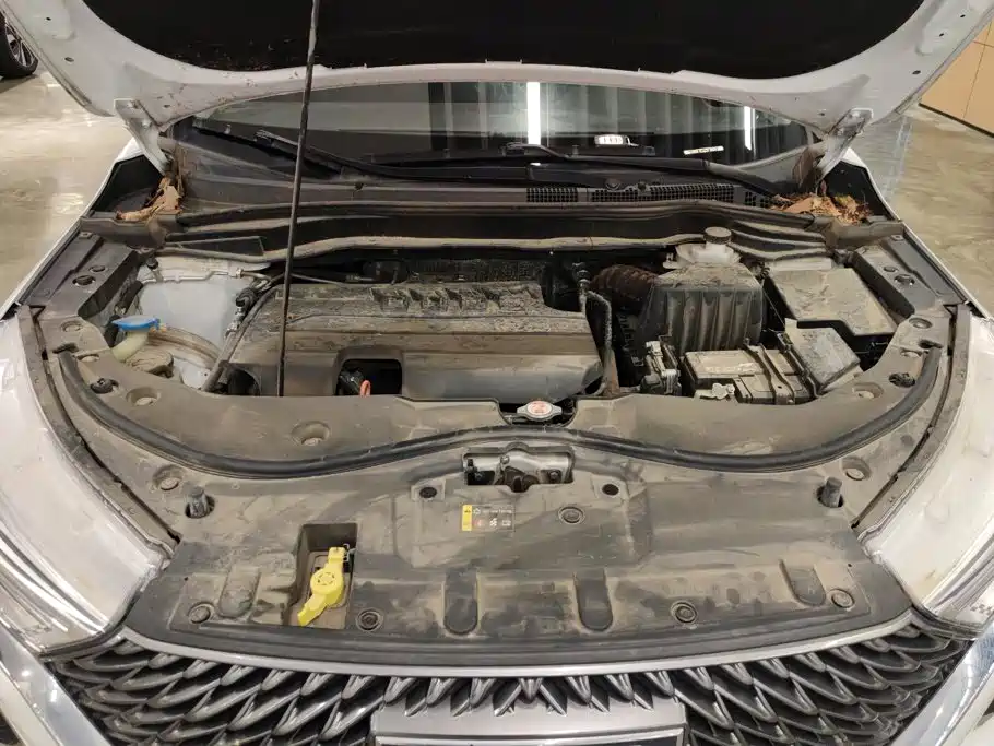 Haval M6 2024 2023 PLUS 1.5T DCT Elite Smart Connect