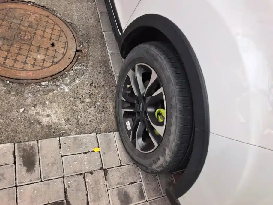 Geely Geometry EX3 Kung Fu Bull 2022 2021 Kung Fu Niu Niu