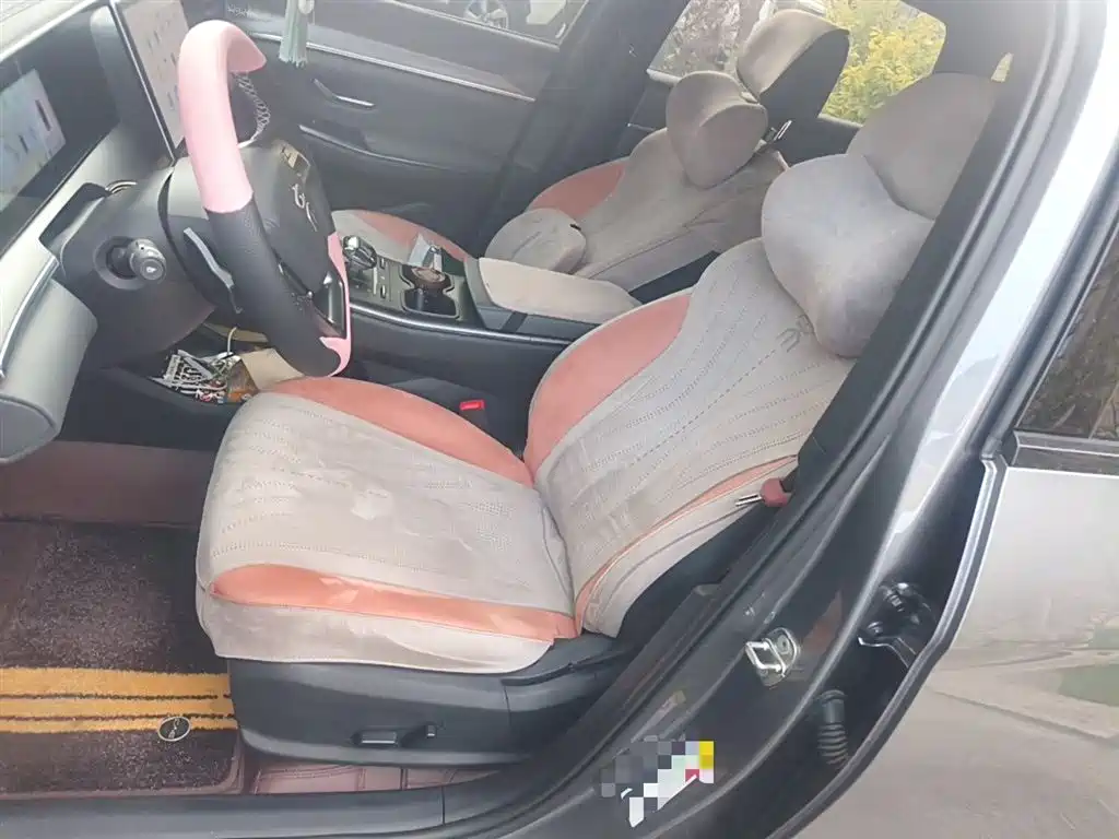 BYD Song Pro New Energy 2025 2nd Generation Smart Drive Edition DM-i 75KM Leading Type фото 12