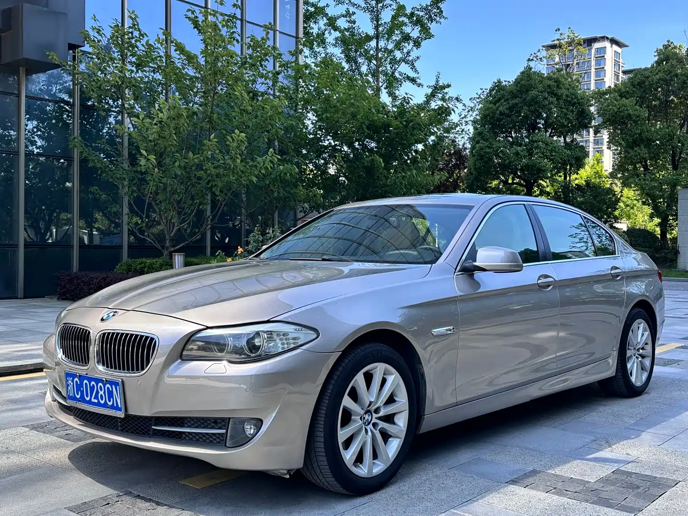 BMW 5 Series 2013 530Li Leadership