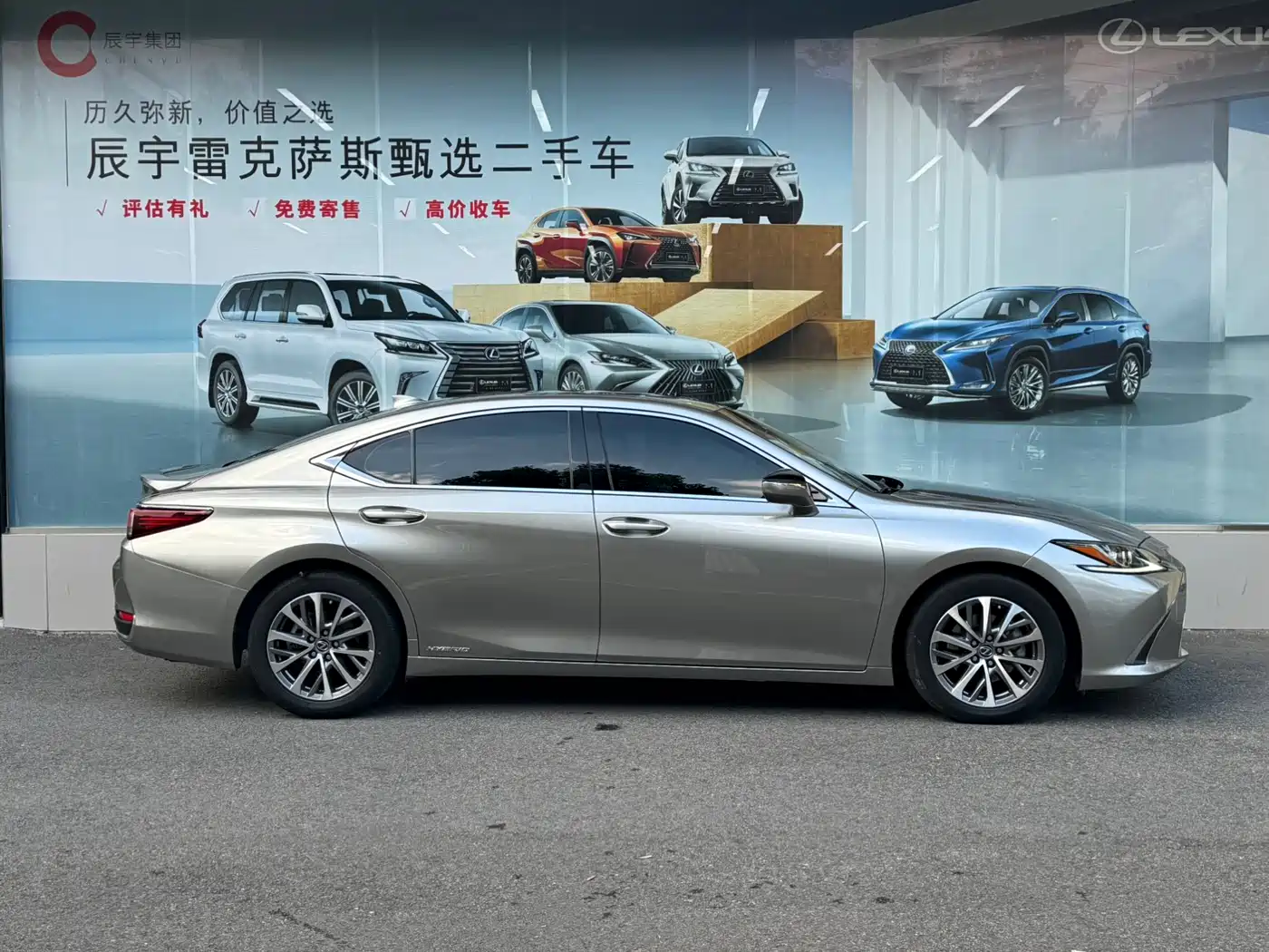 Lexus ES 2021 300h Excellence Edition фото 5