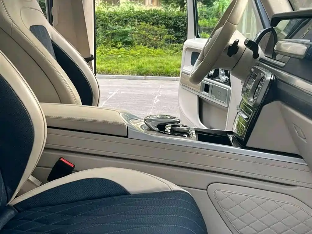 Mercedes-Benz G-Class 2020 G 500 Time Inscription Special Edition фото 13