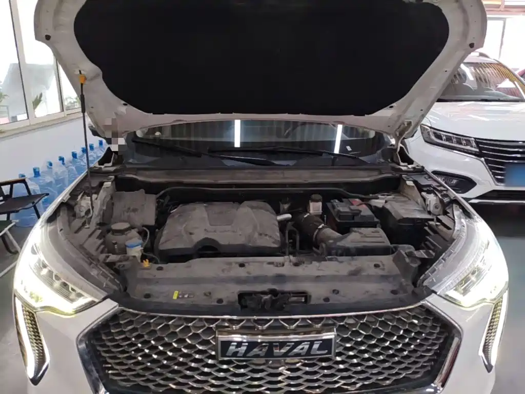 Haval First Love 2021 2021 1.5T Automatic Junior Edition