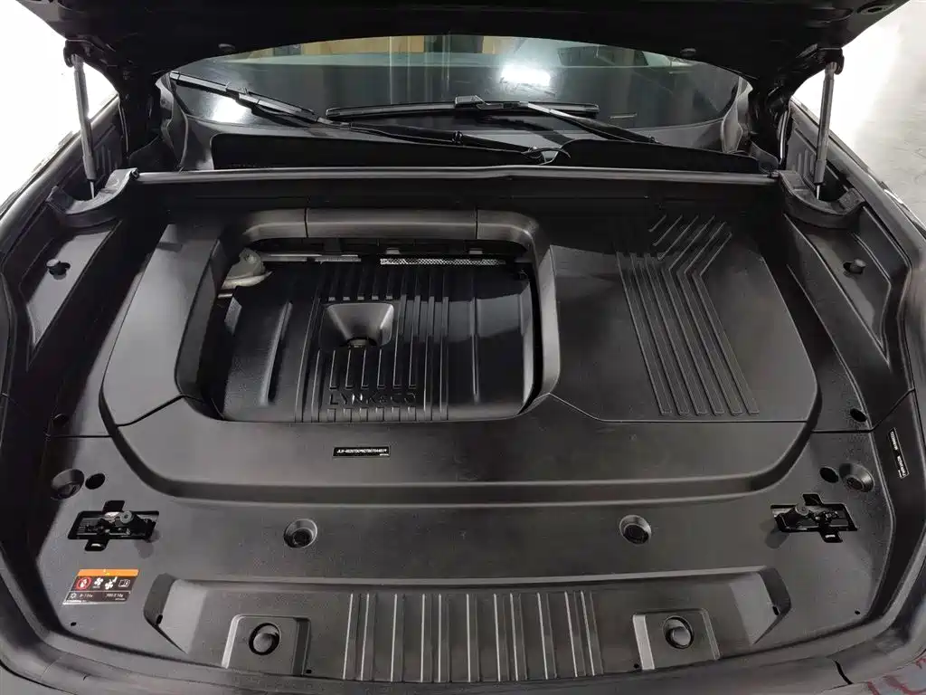 Lynk & Co 09 EM-P 2021 2.0T PHEV Ultra 6-seater фото 6