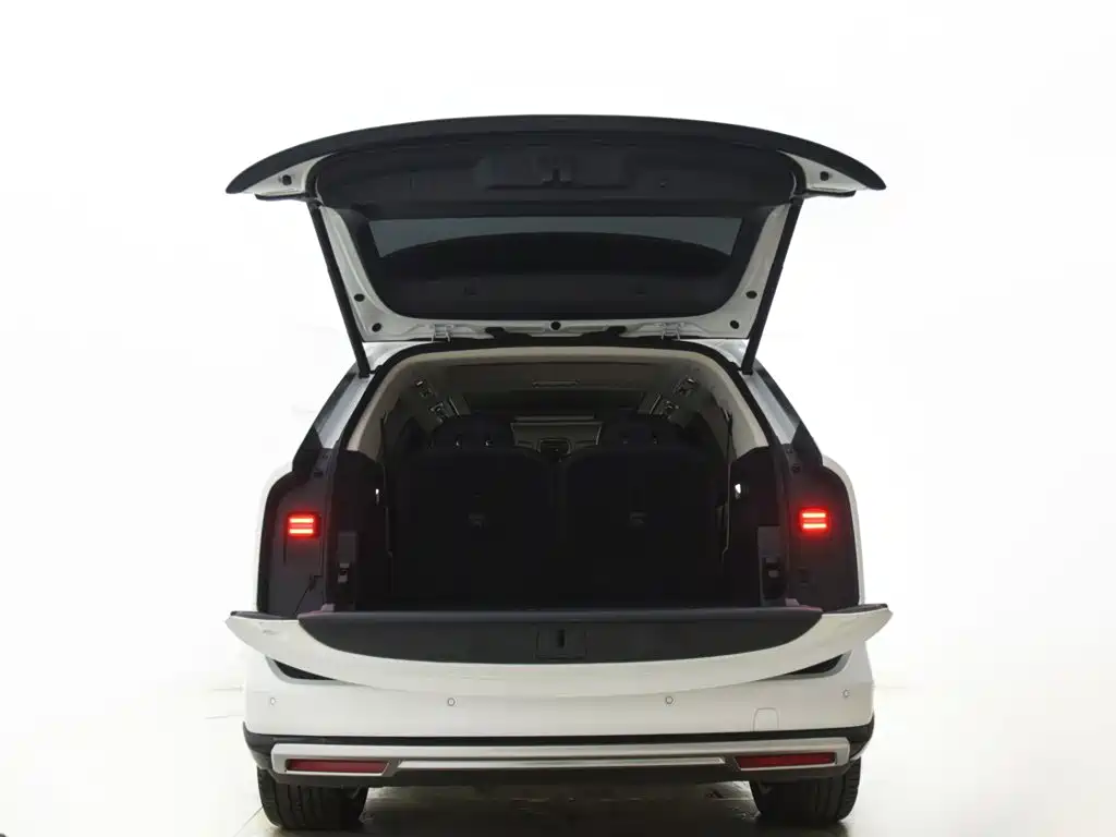 ZEEKR 9X 2026 2025 Model Standard