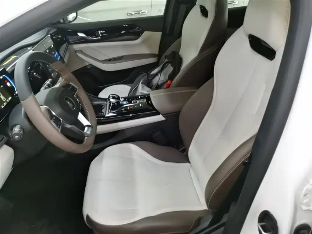BYD Qin PLUS 2024 Glory Edition DM-i 55KM Leading фото 15