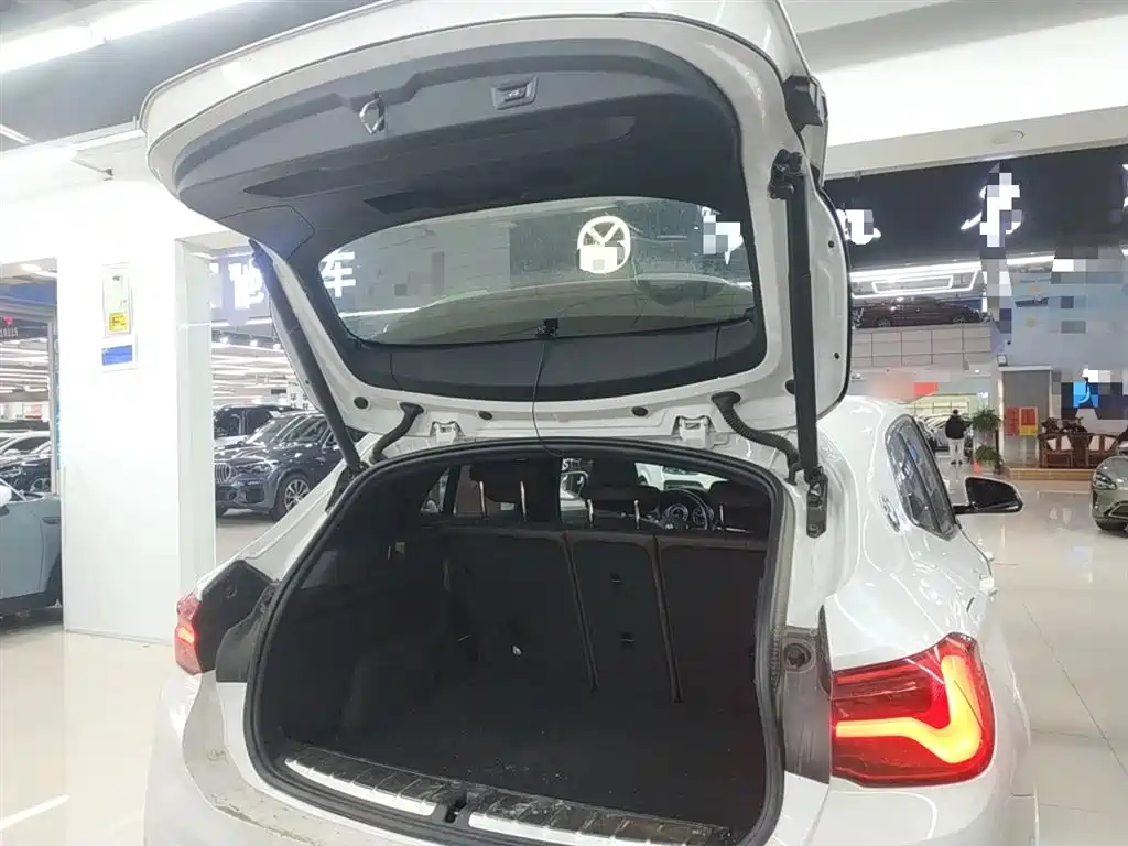 BMW X2 2020 sDrive25i Leading M Sport Package фото 15