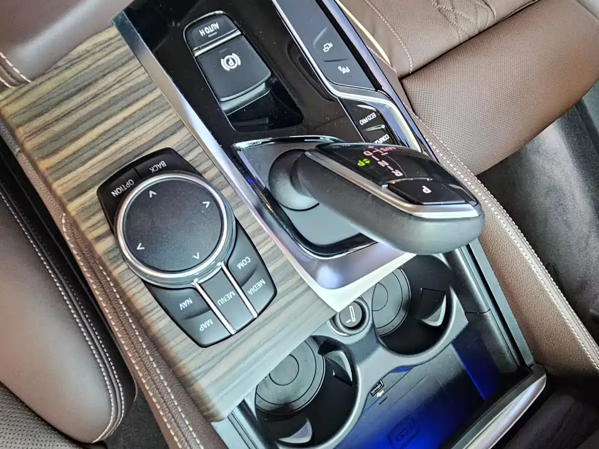 BMW 5 Series 2018 Facelift 530Li xDrive Luxury Package фото 5