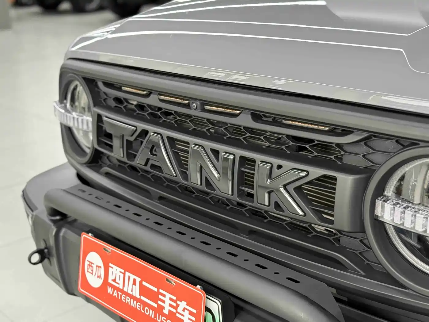 2025 Tank 300 New Energy