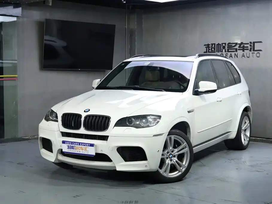BMW X5 M 2010 X5 M