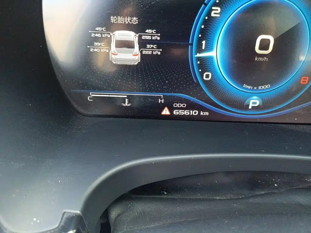 2021 Geely Borui