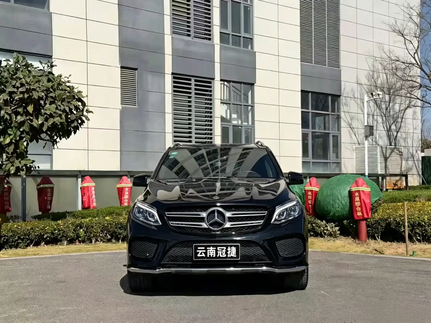 Mercedes-Benz GLE 2017 GLE 320 4MATIC Dynamic фото 2