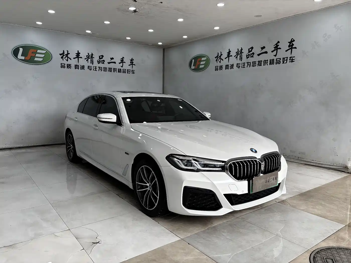 BMW 5 SERIES NEW ENERGY