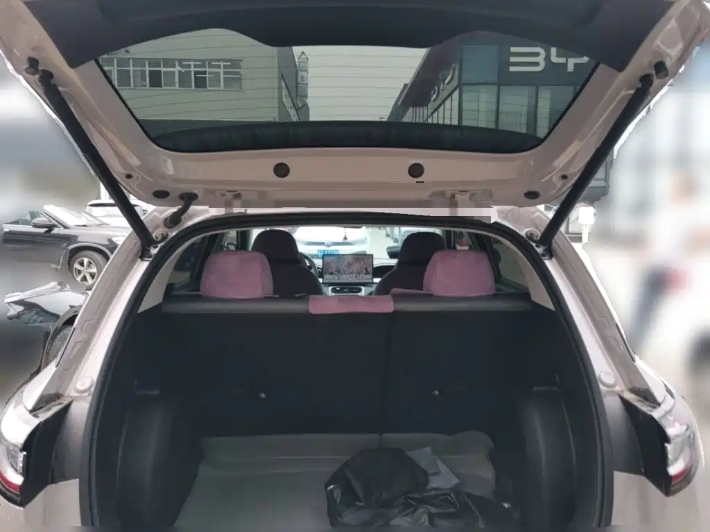 Geely Galaxy Starry Wish 2026 2026 Model 310km Dream Edition