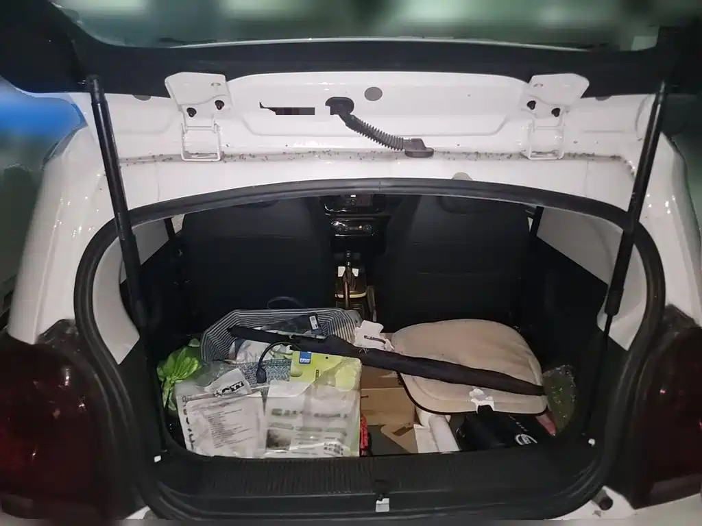 Фото 10 - Roewe Clever