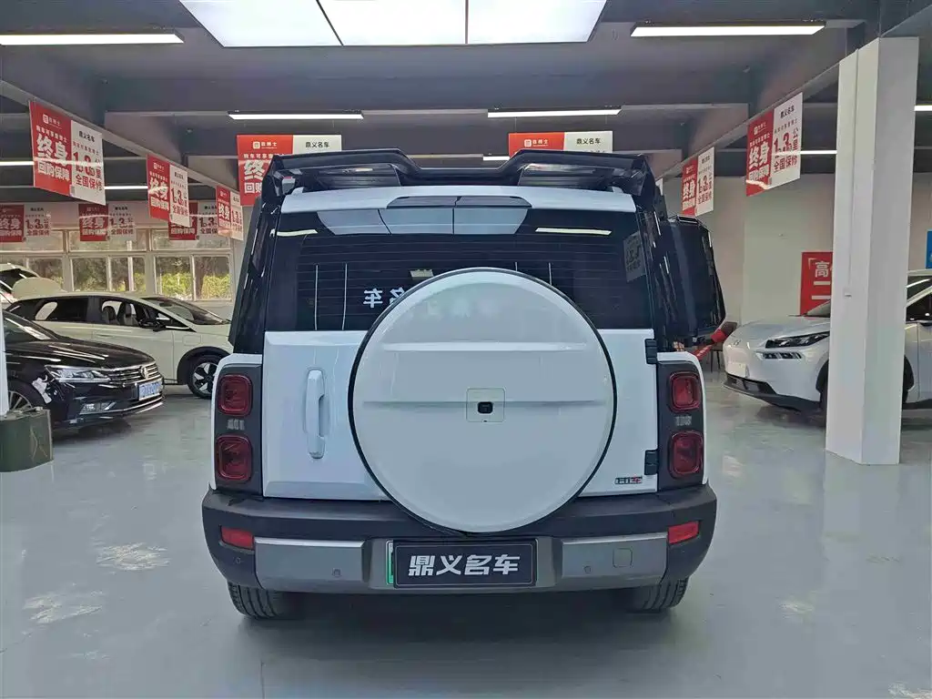 HAVAL RAPTORS NEW ENERGY