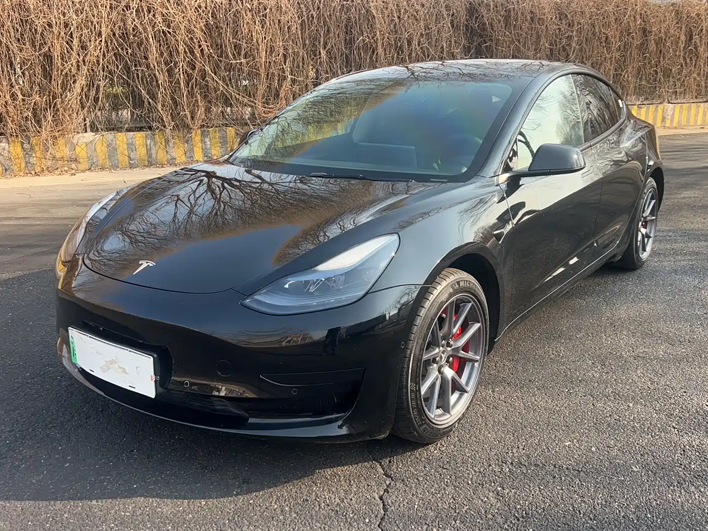 TESLA MODEL 3