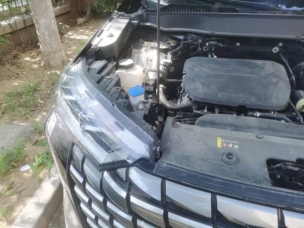 Haval H6 2025 2024 1.5T 2WD Max