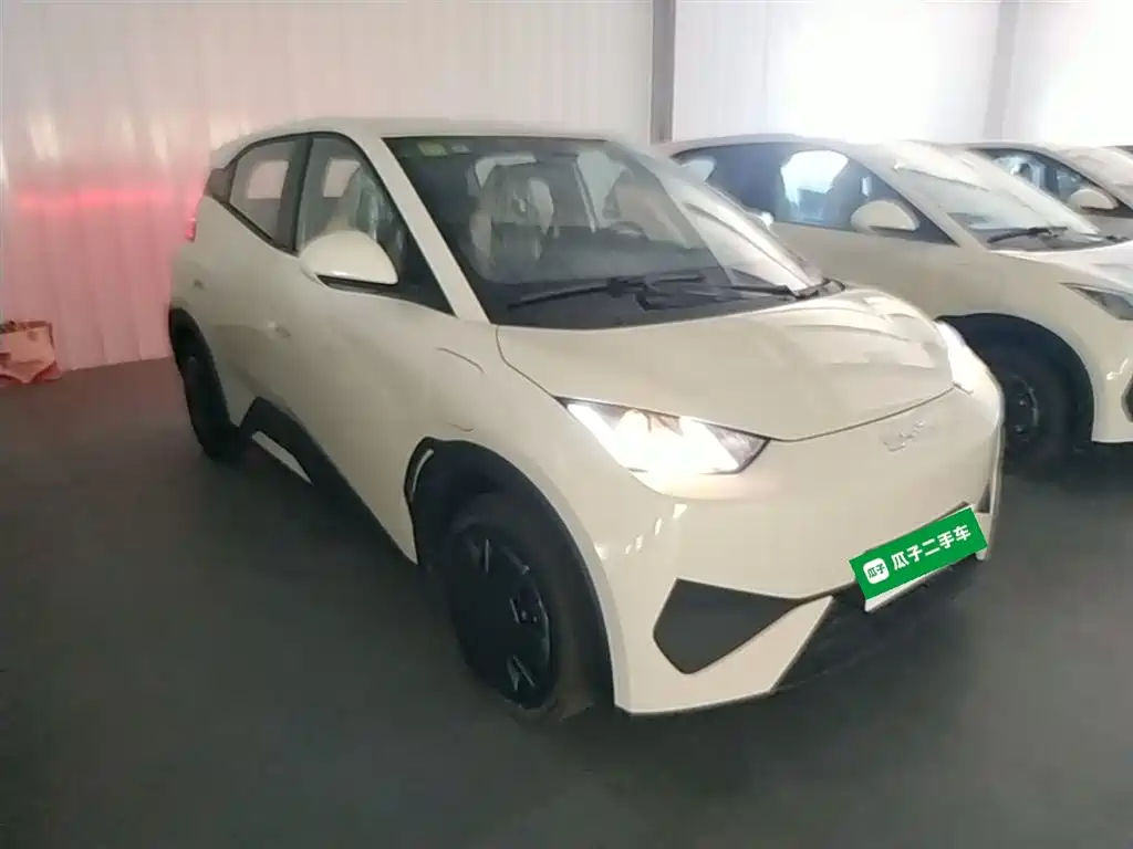 BYD Seagull 2026 2025 Smart Drive Edition 305km Vitality Version
