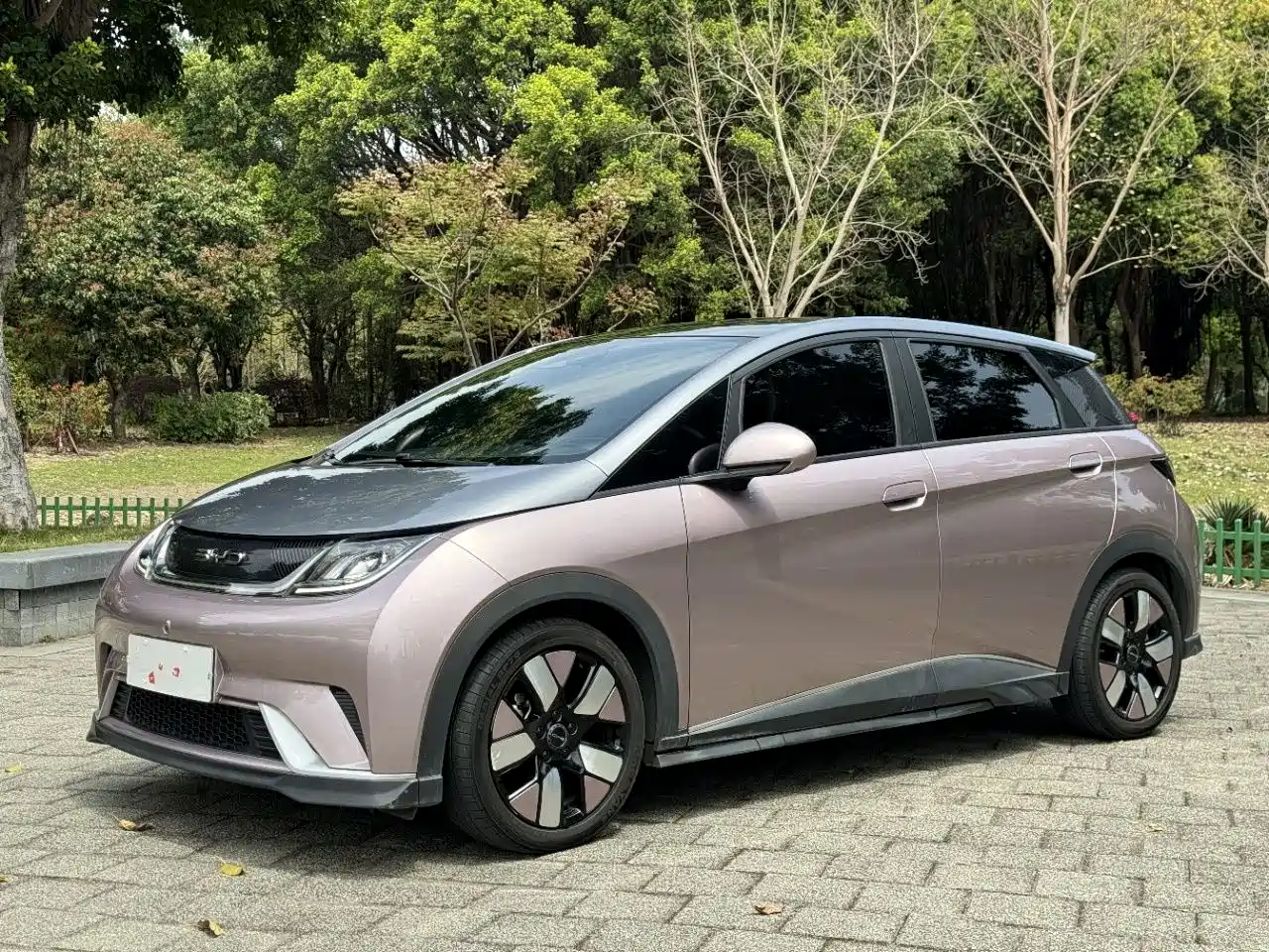 BYD Dolphin 2021 401km Knight Edition