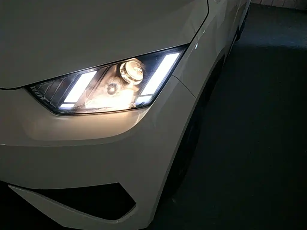 BYD Seagull 2026 2025 Smart Drive Edition 305km Vitality Version