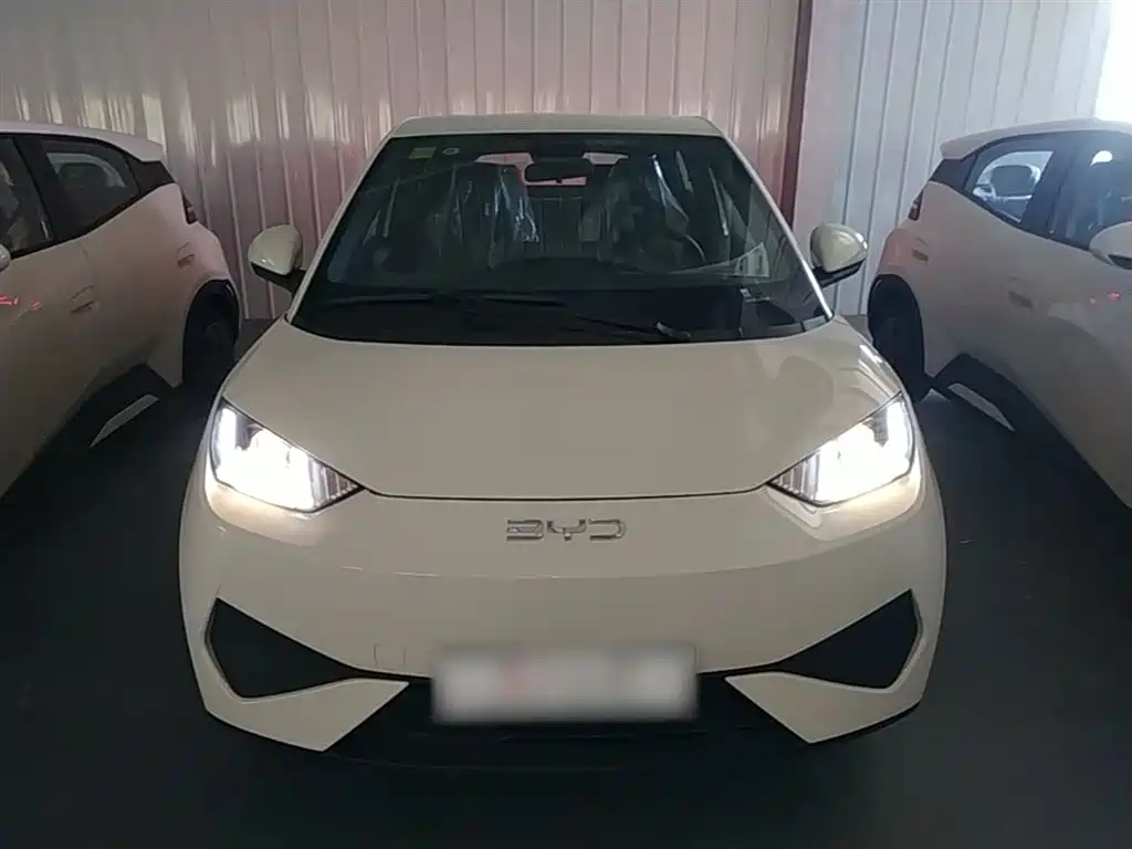 BYD Seagull 2026 2025 Smart Drive Edition 305km Vitality Version