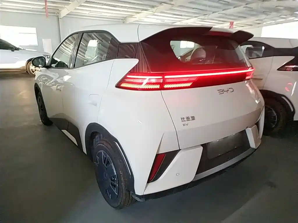 BYD Seagull 2026 2025 Smart Drive Edition 305km Vitality Version