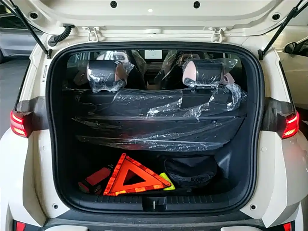 BYD Seagull 2026 2025 Smart Drive Edition 305km Vitality Version