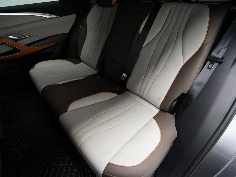 BYD Song Pro New Energy 2024 Glory Edition DM-i 71KM Leading фото 13