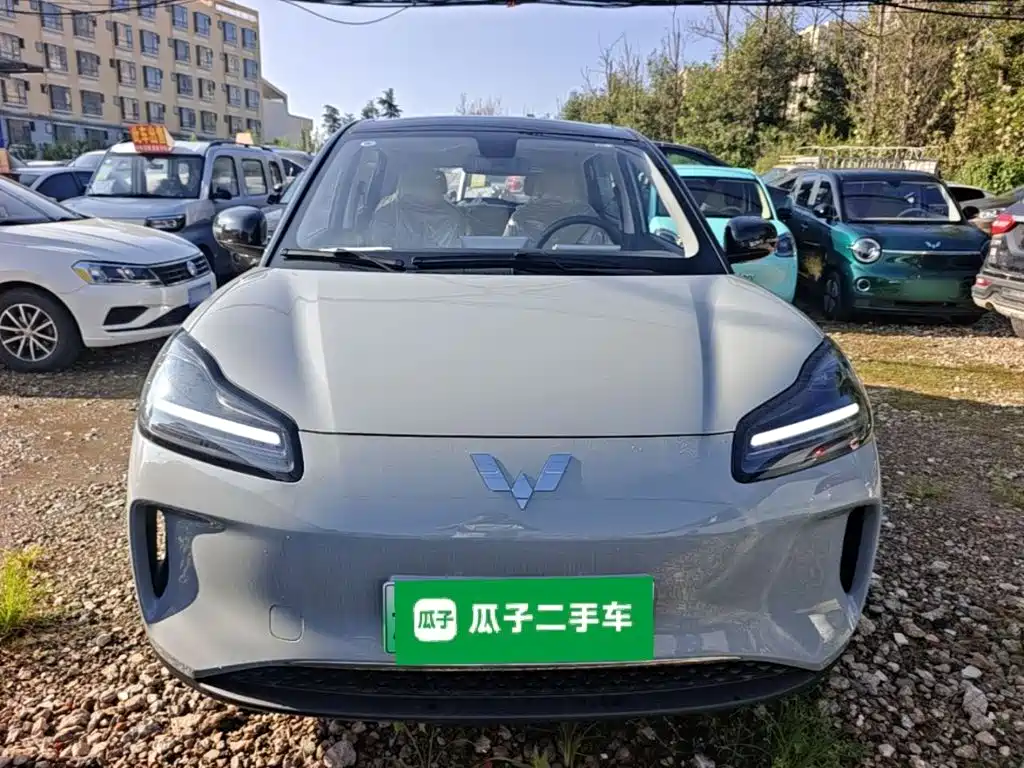Wuling Motors Wuling Binguo PLUS 2026 2024 510km Range 5-seater
