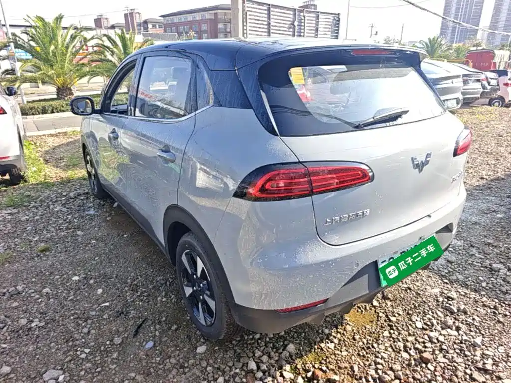 Wuling Motors Wuling Binguo PLUS 2026 2024 510km Range 5-seater