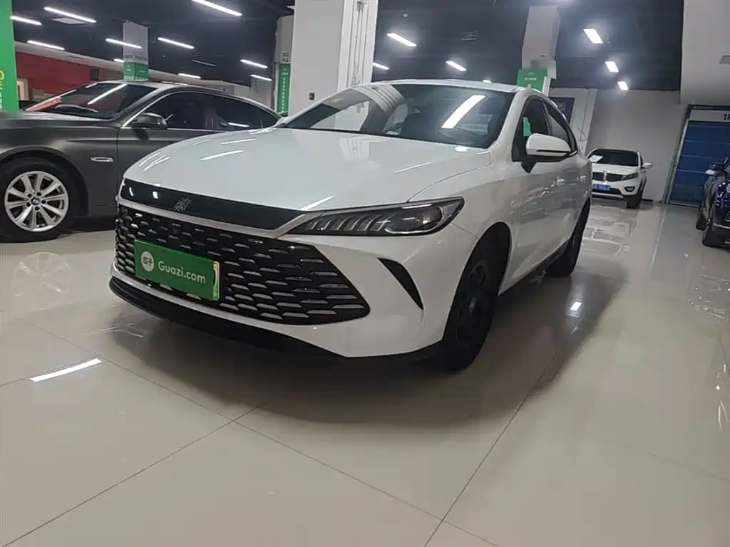 BYD Qin PLUS 2025 DM-i Smart Drive 55KM Leader
