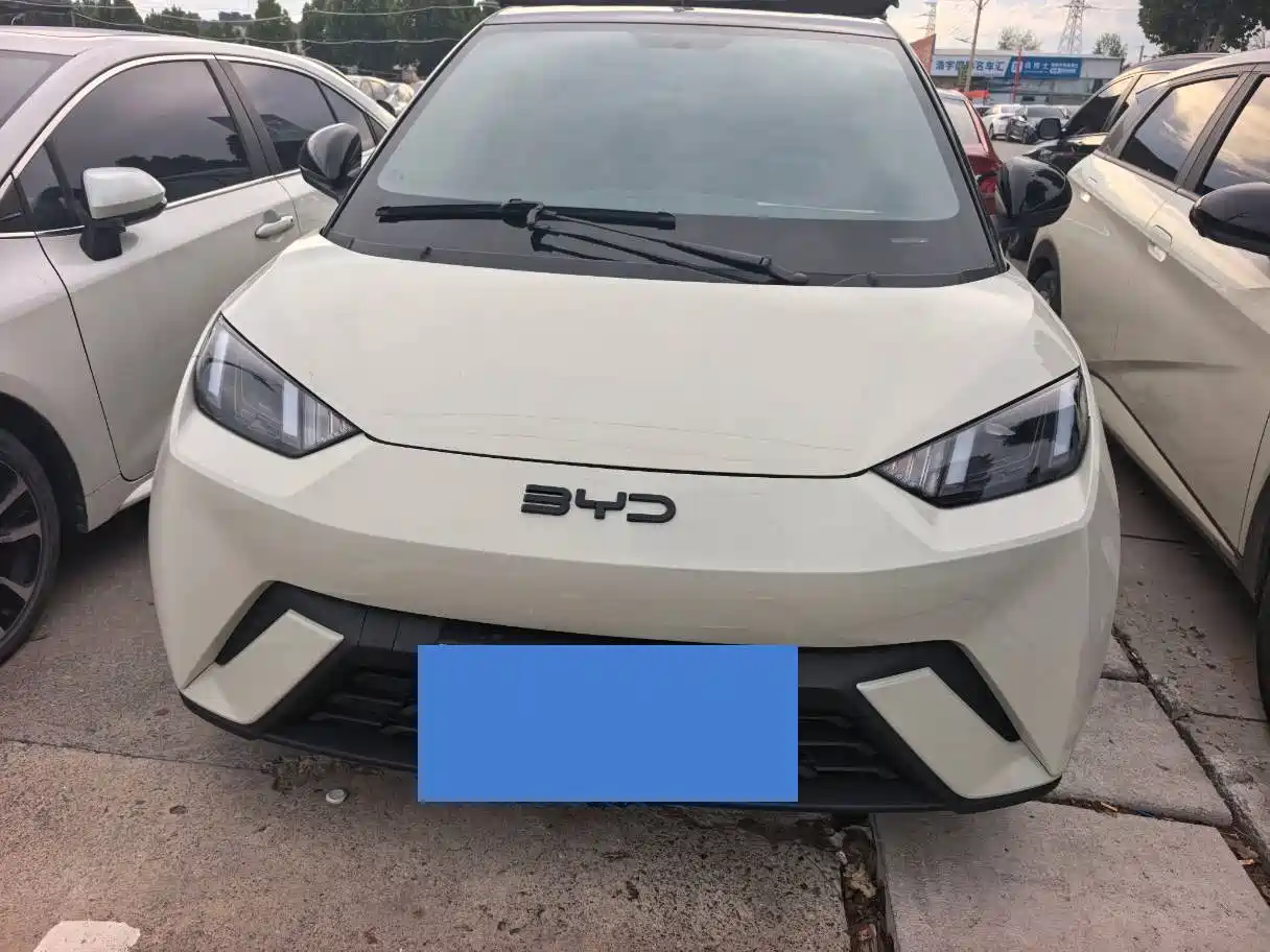 Фото 2 - BYD Seagull