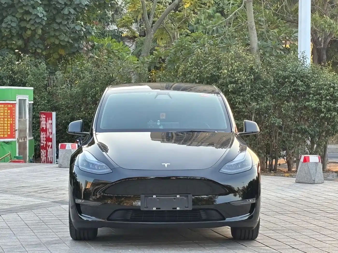 TESLA MODEL Y