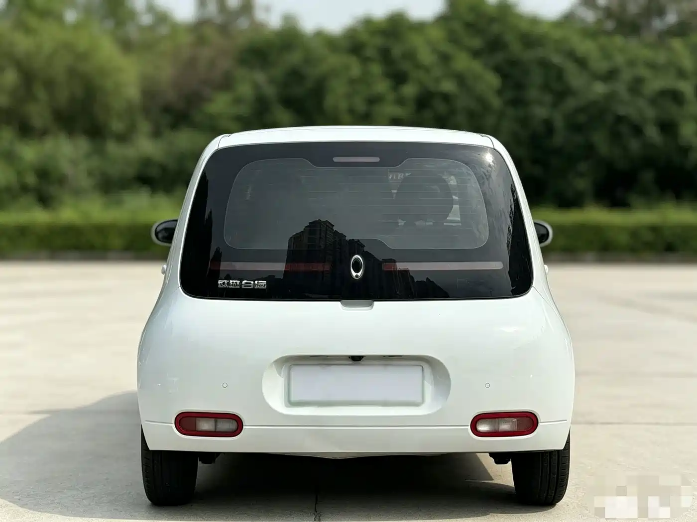 Ora White Cat 2021 2020 360km Luxury Model