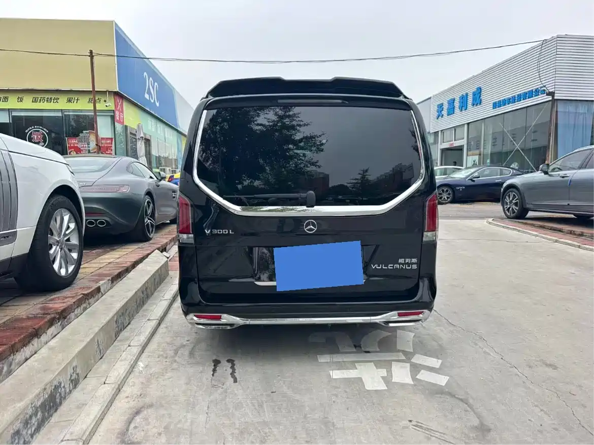 Mercedes-Benz V-Class 2024 V 300 L Long Wheelbase Luxury Edition фото 3
