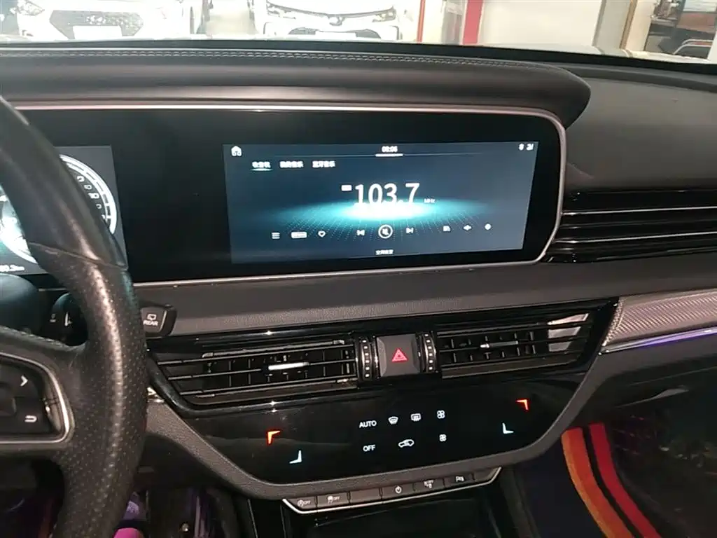Hongqi HS5 2019 2.0T Smart Connect Enjoy 4WD Edition фото 13