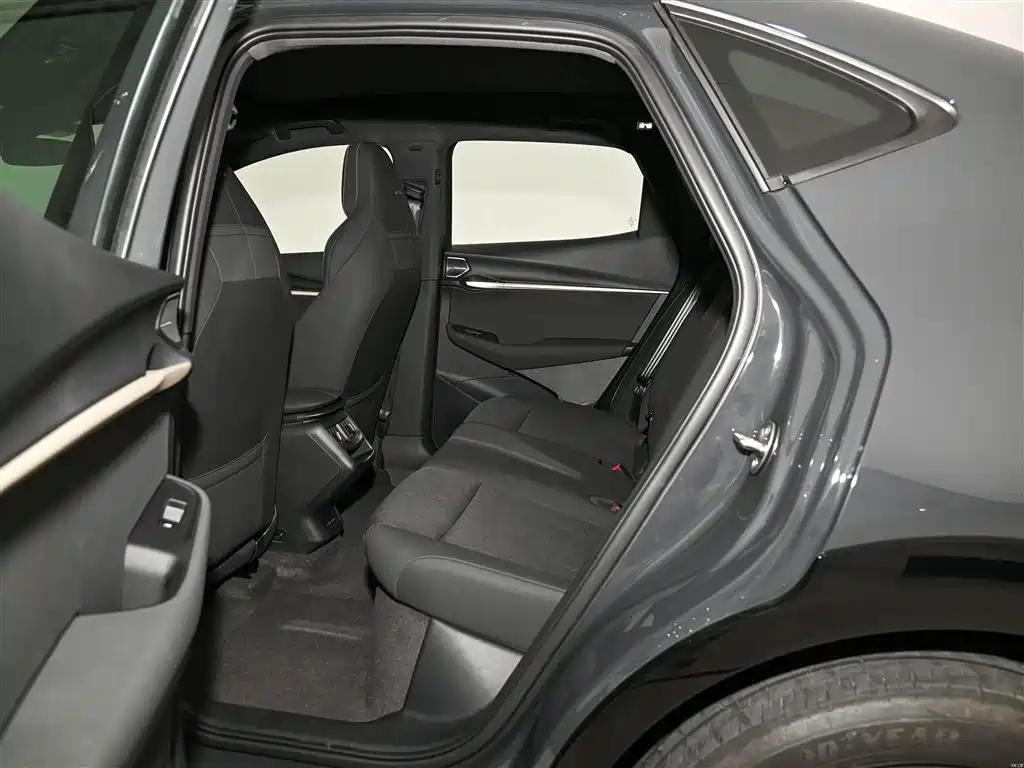 VOLKSWAGEN WITH THE CROWD 06