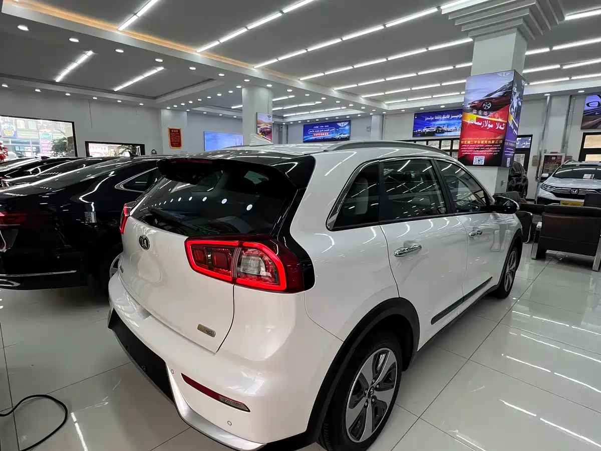 Kia Niro 2017 1.6L Luxury Edition фото 5