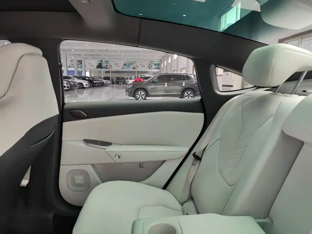 ARCFOX EXTREME FOX POLAR FOX ALPHA S5