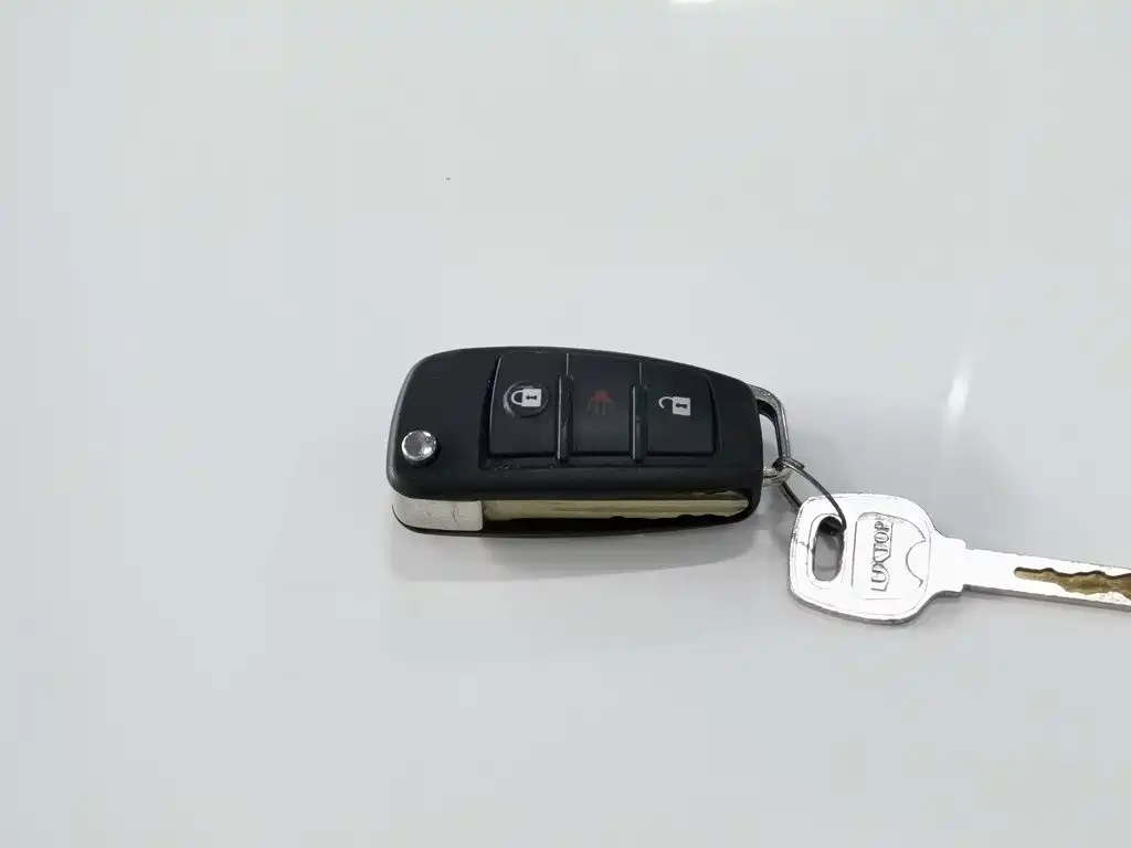 Dongfeng Ruiqi 2022 2021 2.4L Gasoline 2WD Well-off Edition Base Model 2TZD