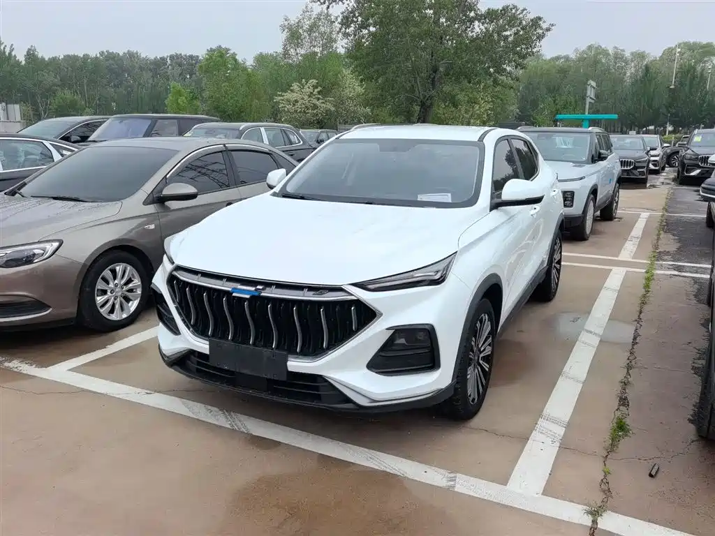 Фото 1 - Changan Oshan Changan Oushang X5