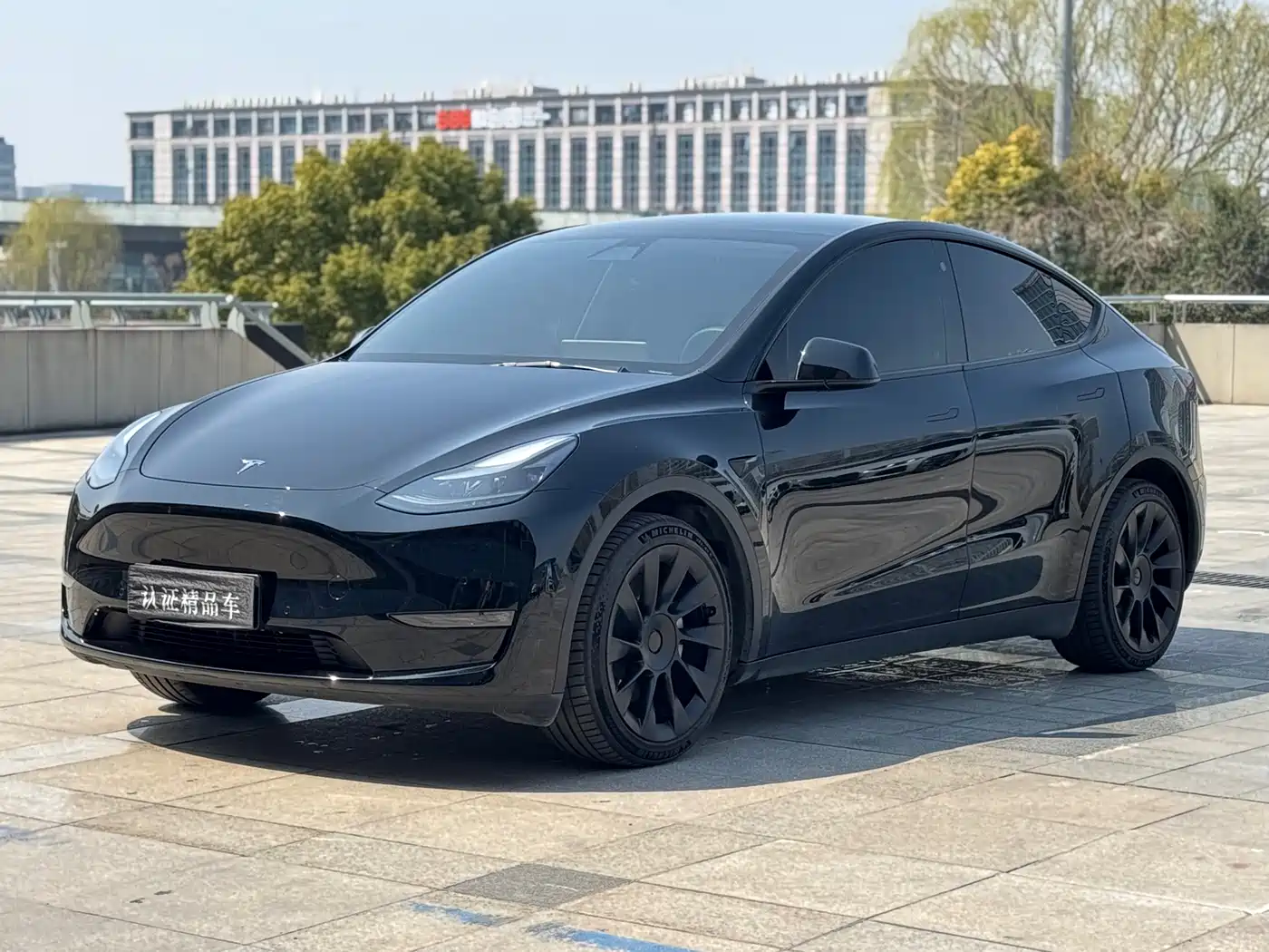 TESLA MODEL Y
