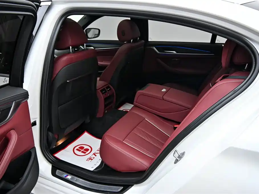 BMW 5 Series 2023 530Li Leading M Sport Package фото 13