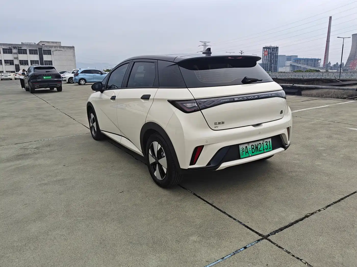 BYD Dolphin 2023 420km Fashion Edition фото 9