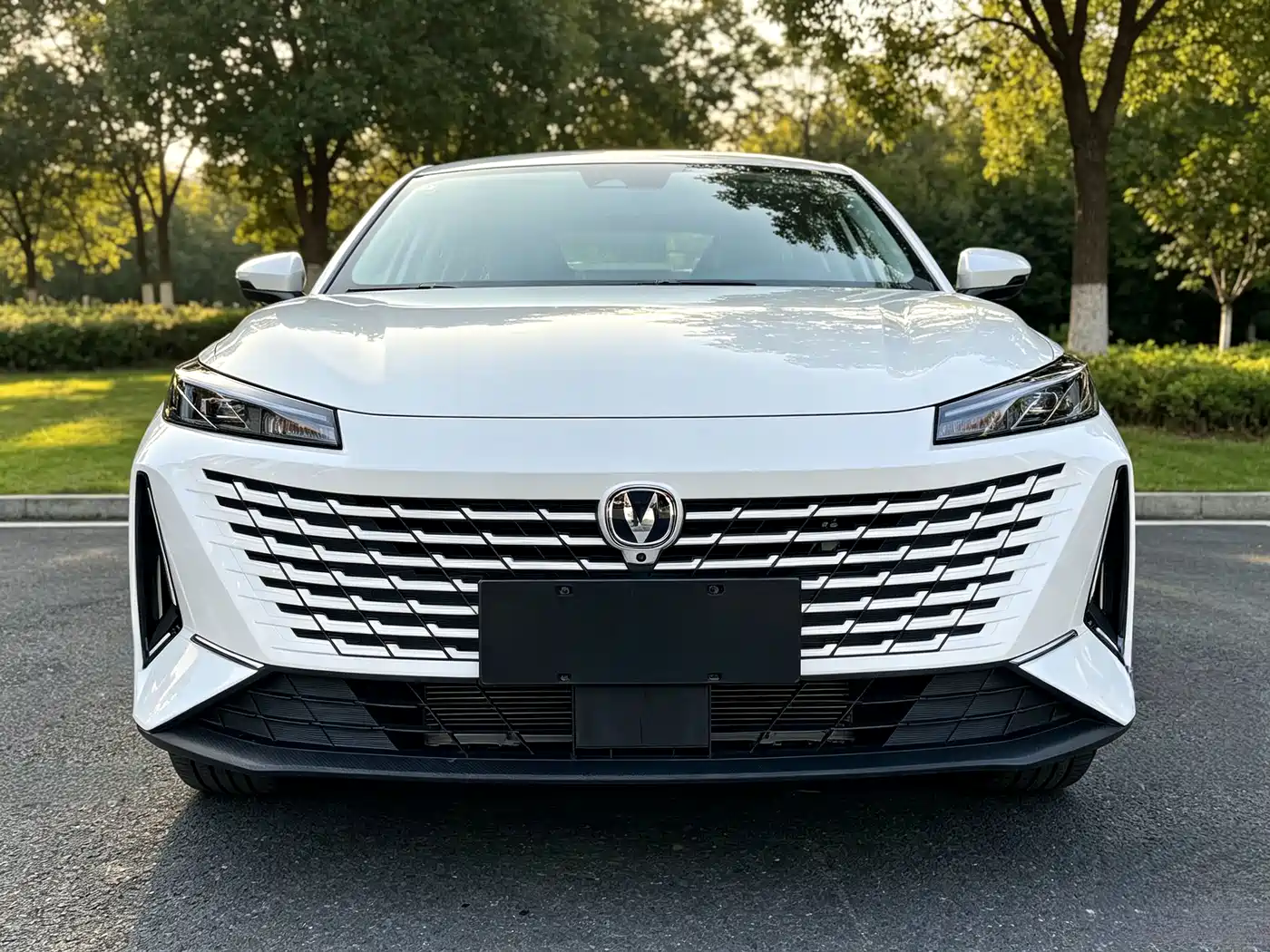 Changan Yida 2023 2023 Blue Whale NE 1.5T GDI DCT Flagship