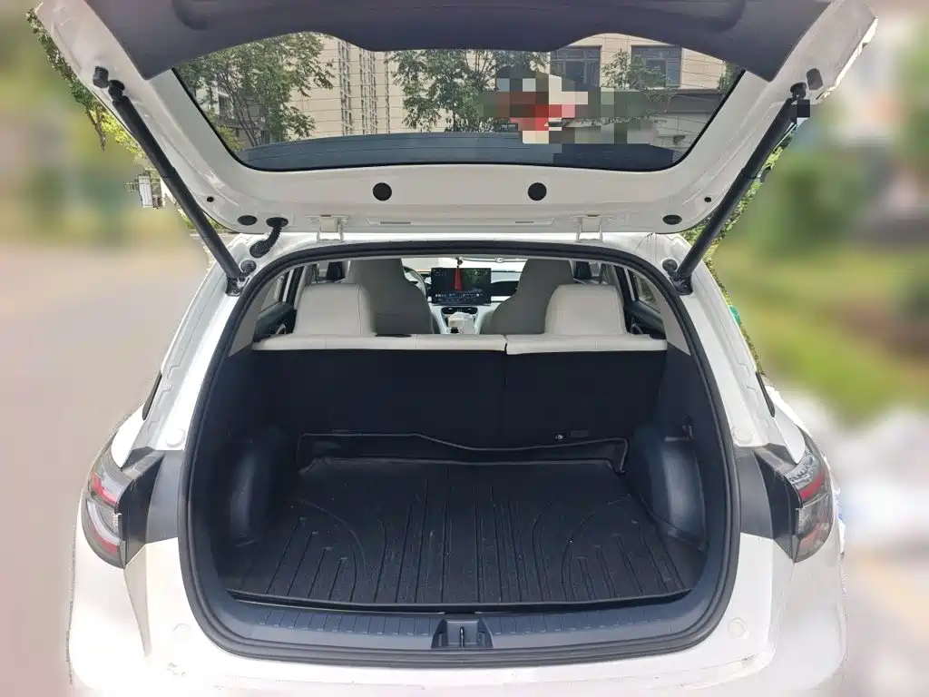 Geely Galaxy Starry Wish 2026 2026 Model 310km Dream Edition